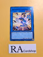 Shinobaroness Shade Peacock Common AGOV-EN028 1st Edition Age of Overlord 2020 AGOV Yu-Gi-Oh