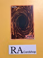 Shinobaroness Shade Peacock Common AGOV-EN028 1st Edition Age of Overlord 2020 AGOV Yu-Gi-Oh