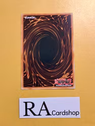 Shinobaron Shade Peacock Common AGOV-EN029 1st Edition Age of Overlord 2020 AGOV Yu-Gi-Oh