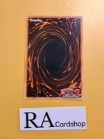 Ken the Warrior Dragon Common AGOV-EN081 1st Edition Age of Overlord 2020 AGOV Yu-Gi-Oh