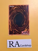 Gen the Diamond Tiger Common AGOV-EN082 1st Edition Age of Overlord 2020 AGOV Yu-Gi-Oh