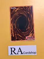 Returned of the Tistina Common AGOV-EN087 1st Edition Age of Overlord 2020 AGOV Yu-Gi-Oh