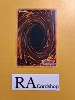 Armed Dragon Lightning Common MP22-EN031 1st Edition Tin of the Pharaohs Gods 2022 MP22 Yu-Gi-Oh