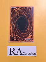 Windwitch Chimes Common MP22-EN033 1st Edition Tin of the Pharaohs Gods 2022 MP22 Yu-Gi-Oh