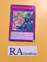 Stained Glass of Light & Dark Rare MP22-EN230 1st Edition Tin of the Pharaohs Gods 2022 MP22 Yu-Gi-Oh