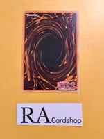 Stained Glass of Light & Dark Rare MP22-EN230 1st Edition Tin of the Pharaohs Gods 2022 MP22 Yu-Gi-Oh