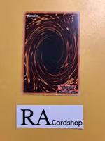 Salamangreat Revive Rare LD10-EN007 Legendary Duelists: Soulburning Volcano LD10 Yu-Gi-Oh