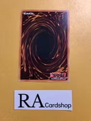 Salamangreat Revive Rare LD10-EN007 Legendary Duelists: Soulburning Volcano LD10 Yu-Gi-Oh