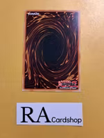 Salamangreat Circle Common LD10-EN014 Legendary Duelists: Soulburning Volcano LD10 Yu-Gi-Oh