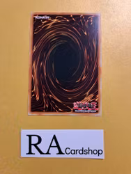 Salamangreat Circle Common LD10-EN014 Legendary Duelists: Soulburning Volcano LD10 Yu-Gi-Oh