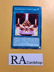 Salamangreat Sanctuary Common LD10-EN013 Legendary Duelists: Soulburning Volcano LD10 Yu-Gi-Oh