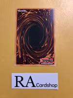 Salamangreat Sanctuary Common LD10-EN013 Legendary Duelists: Soulburning Volcano LD10 Yu-Gi-Oh