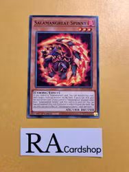 Salamangreat Spinny Common LD10-EN009 Legendary Duelists: Soulburning Volcano LD10 Yu-Gi-Oh