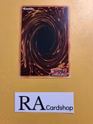 Salamangreat Spinny Common LD10-EN009 Legendary Duelists: Soulburning Volcano LD10 Yu-Gi-Oh