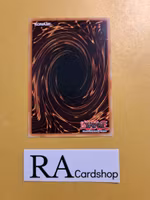 Battlin Boxer Common LD10-EN041 Legendary Duelists: Soulburning Volcano LD10 Yu-Gi-Oh