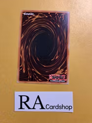 Battlin Boxer Shadow Rare LD10-EN056 Legendary Duelists: Soulburning Volcano LD10 Yu-Gi-Oh