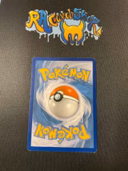 Manectric EX Ultra Rare 23/119 Phantom Forces Pokemon