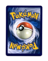 Toedscool Common 017/142 Stellar Crown Pokemon