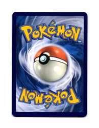 Cetitan Reverse Holo Common 054/191 Surging Sparks Pokemon