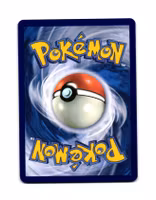 Sealeo Reverse Holo Common 044/191 Surging Sparks Pokemon