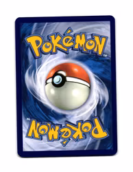 Landorus Reverse Holo Rare 110/191 Surging Sparks Pokemon