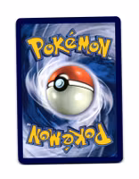 Helioptile Reverse Holo Common 154/191 Surging Sparks Pokemon