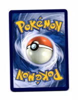 Rufflet Reverse Holo Common 152/191 Surging Sparks Pokemon