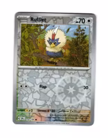 Rufflet Reverse Holo Common 152/191 Surging Sparks Pokemon