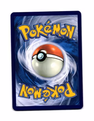 Shroodle Reverse Holo Common 120/191 Surging Sparks Pokemon