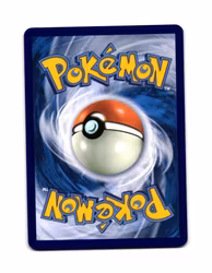 Charcadet Reverse Holo Common 032/191 Surging Sparks Pokemon