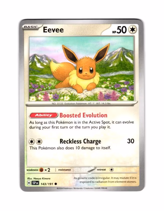 Eevee Common 143/191 Surging Sparks Pokemon