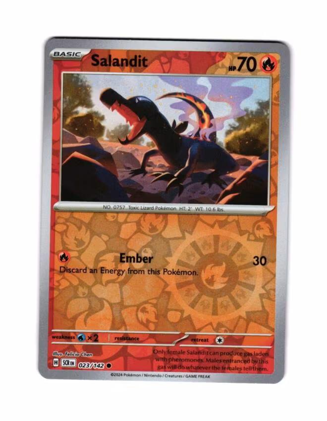 Salandit Reverse Holo Common 023/142 Stellar Crown Pokemon
