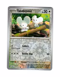 Tandemaus Reverse Holo Common 073/091 Paldean Fates Pokemon