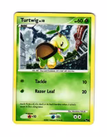 Turtwig Lv.10 Holo Common 17/17 POP Series 6 Pokemon