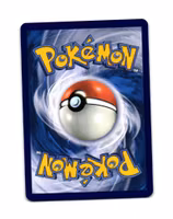 Pupitar Reverse Holo Common 081/159 Journey Together Pokemon