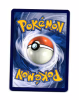 Black Belts Training Reverse Holo Common 145/159 Journey Together Pokemon