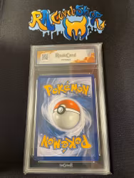 Salamence ex 187 Crown Zenith Pokemon Graded Card 9 RaukCard