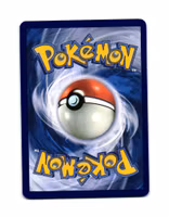 Hippopotas Reverse Holo Common 105/182 Destined Rivals Pokemon