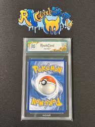 Gavalntula ex 168 Stellar Crown Pokemon Graded Card 9 RaukCard