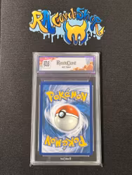 Dachsbun 160 Stellar Crown Pokemon Graded Card 9 RaukCard