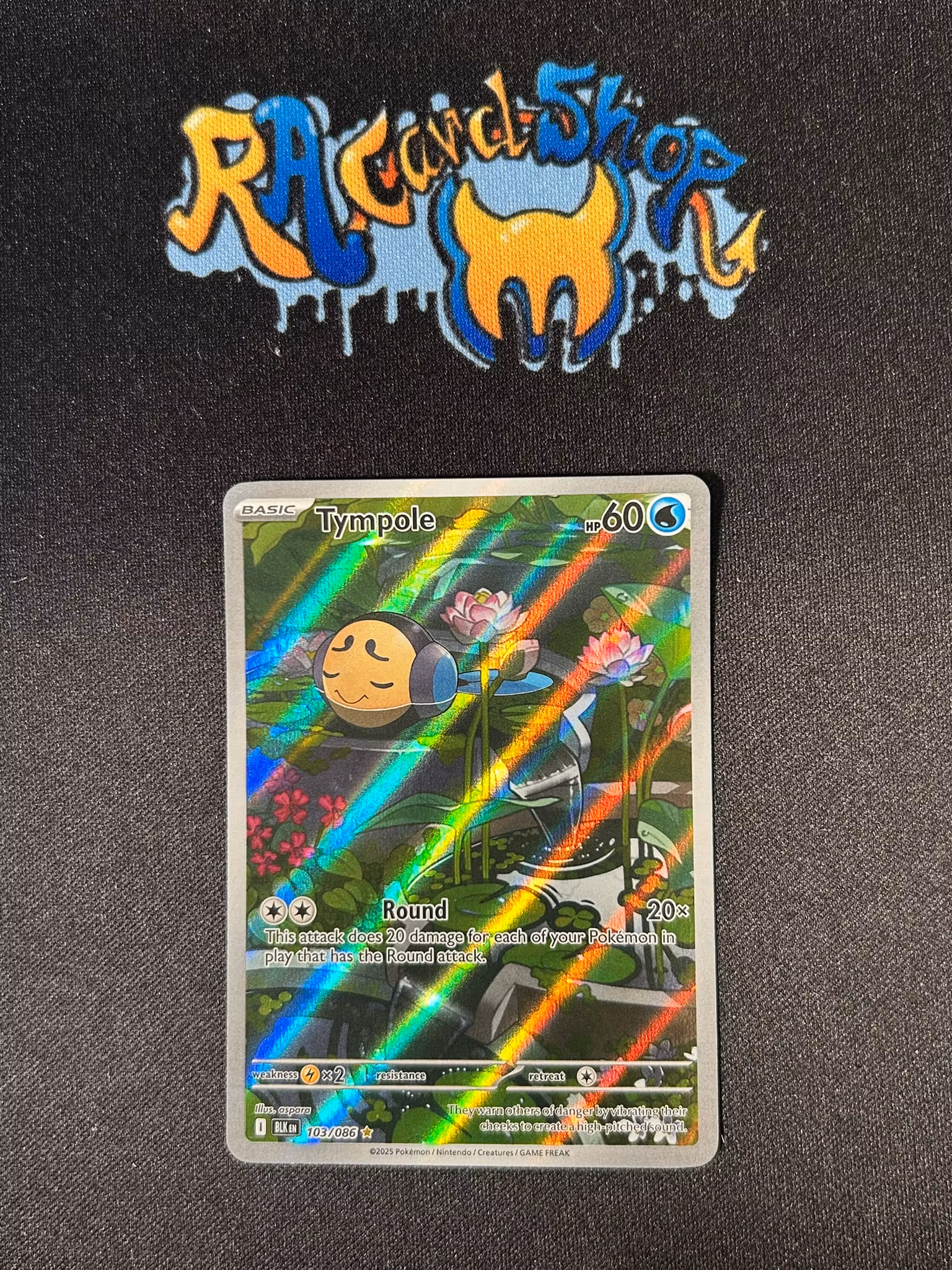 Tympole Illustration Rare 103/086 Black Bolt Pokemon