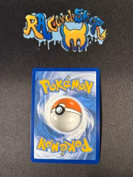 Krokorok Illustration Rare 136/086 Black Bolt Pokemon