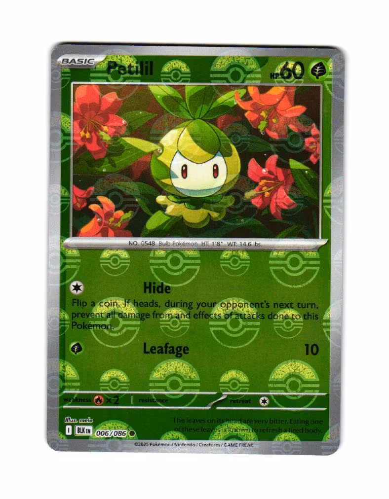 Petilil Reverse Holo PokeBall Common 006/086 Black Bolt Pokemon