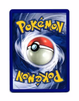 Chikorita Common 54/111 Neo Genesis Pokemon