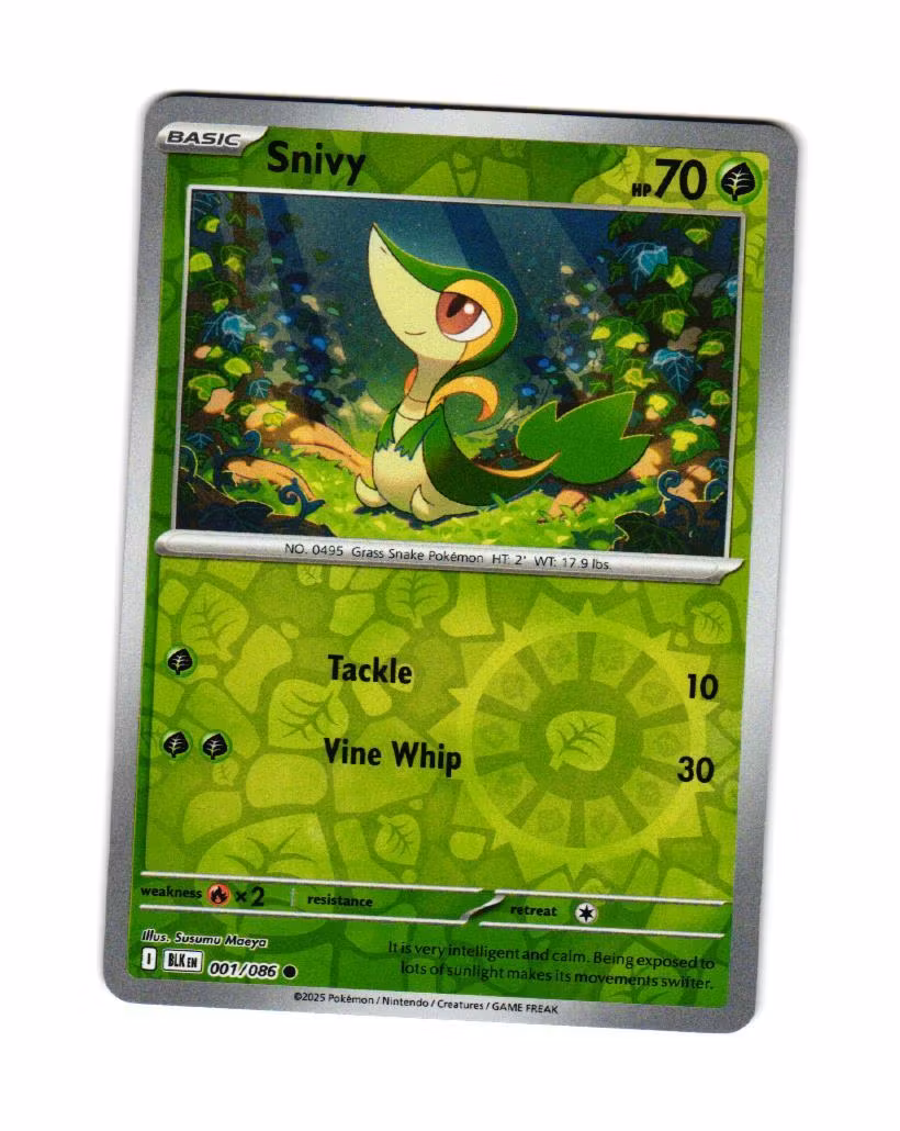Snivy Reverse Holo Common 001/086 Black Bolt Pokemon