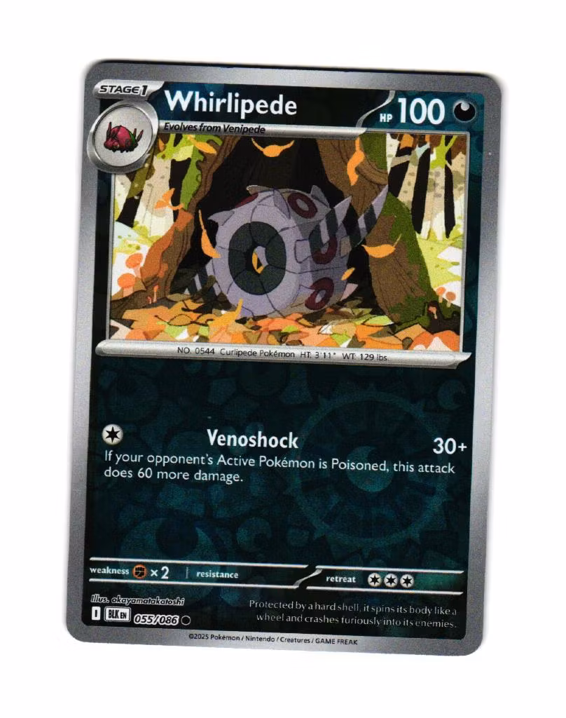 Whirlipede Reverse Holo Common 055/086 Black Bolt Pokemon