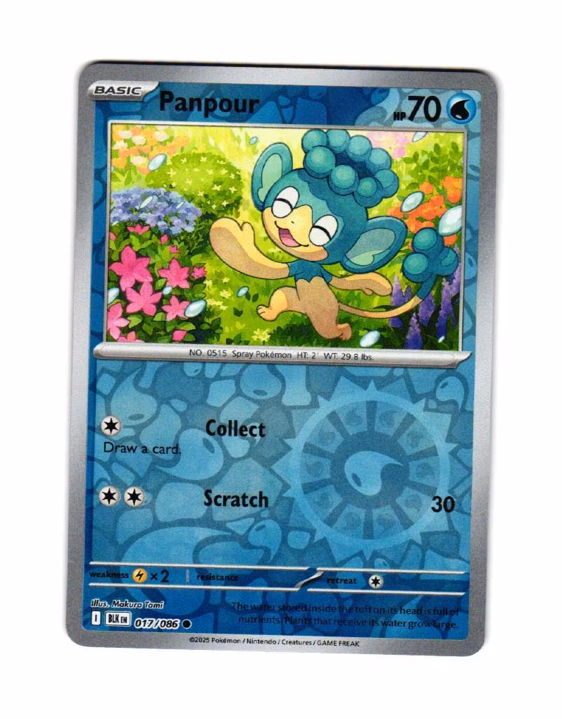Panpour Reverse Holo Common 017/086 Black Bolt Pokemon