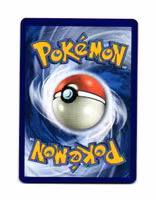 Slumbering Forest Uncommon 207/236 Unified Minds Pokemon