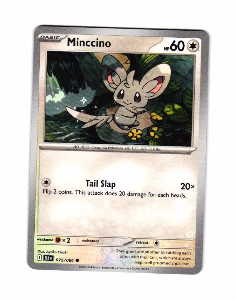 Minccino Common 075/086 Black Bolt Pokemon