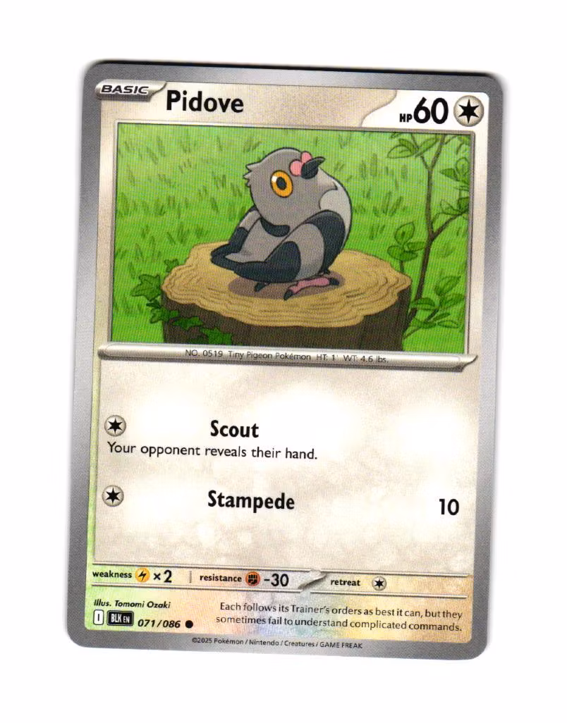 Pidove Common 071/086 Black Bolt Pokemon